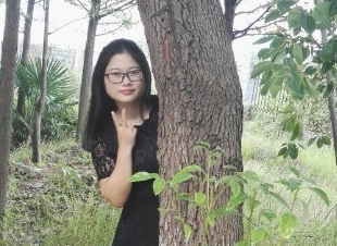 Ӣ�Z(y��)�̎� ���