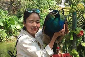 Ӣ�Z�̎� �ǲ���